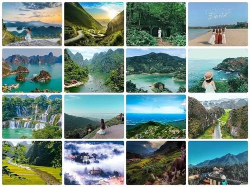 Nhiều gia đình lựa chọn những tour du lịch gần và chi phí phù hợp hơn.