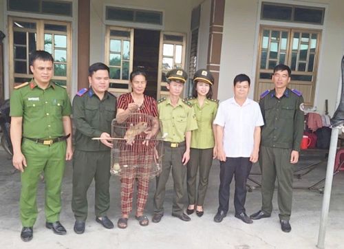 Các cá thể giao nộp đều thuộc nhóm IIB – danh mục động vật rừng nguy cấp, quý hiếm được ưu tiên bảo vệ theo quy định của pháp luật.