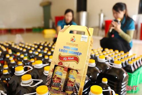 Nước mắm Luận Nghiệp là 1 trong 2 sản phẩm vừa được Hội đồng đánh giá, phân hạng sản phẩm OCOP Trung ương đánh giá đủ điều kiện đạt chuẩn OCOP 5 sao sẽ tham gia chương trình.