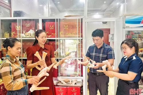 Sản phẩm nhung hươu Hiền Ngọc được lựa chọn tham gia “Tuần lễ sản phẩm Hà Tĩnh tại Thủ đô”.