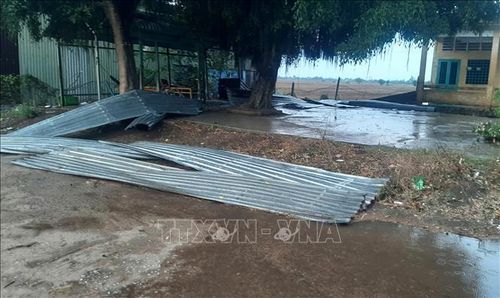 Trận giông lốc làm mái tôn của điểm phụ Trường Tiểu học An Phong 1 rơi xuống đất. Ảnh: TTXVN phát