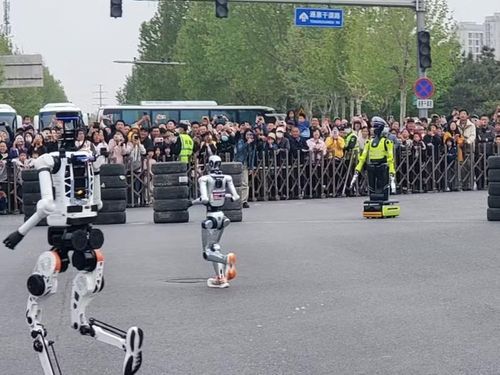 Rất đông khán giả đứng xem các tuyển thủ robot thi đấu và Thiên Dật điều hành giao thông. Ảnh: Sina.