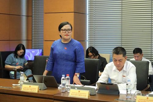 Đại biểu Nguyễn Thị Sửu, Phó Trưởng đoàn ĐBQH chuyên trách TP. Huế nhấn mạnh tầm quan trọng của nghị quyết phát triển văn hóa. Ảnh: Đoàn ĐBQH thành phố cung cấp