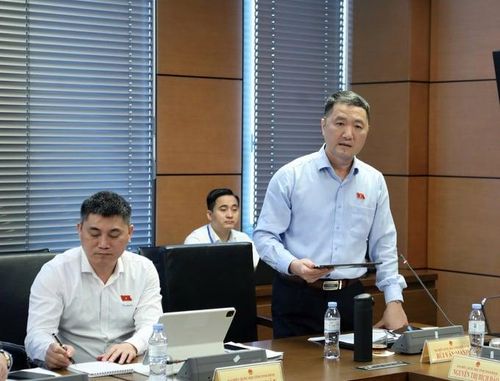  Đại biểu Bùi Văn Mạnh. 