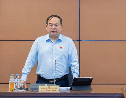 Trưởng Đoàn ĐBQH tỉnh Quảng Ninh Quản Minh Cường phát biểu. Ảnh: Mạnh Hưng