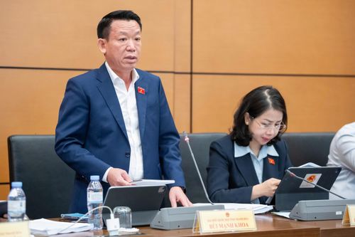 ĐBQH Bùi Mạnh Khoa (Thanh Hóa) phát biểu. Ảnh: Phạm Thắng