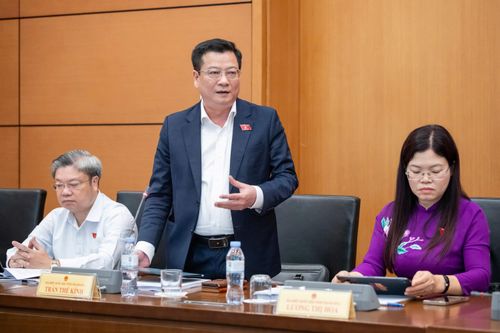 ĐBQH Trần Thế Kính (Thanh Hóa) phát biểu. Ảnh: Phạm Thắng