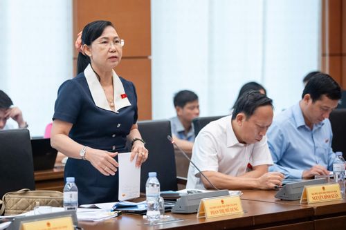 ĐBQH Phan Thị Mỹ Dung (Tây Ninh) phát biểu thảo luận. Ảnh: Phạm Thắng
