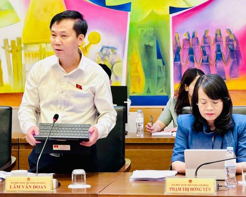 ĐBQH Lâm Văn Đoan (Lâm Đồng) phát biểu.
