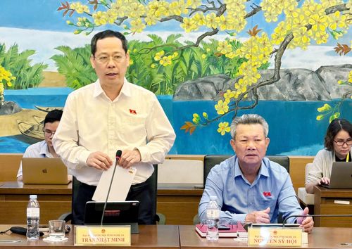 ĐBQH Trần Nhật Minh (Nghệ An) phát biểu