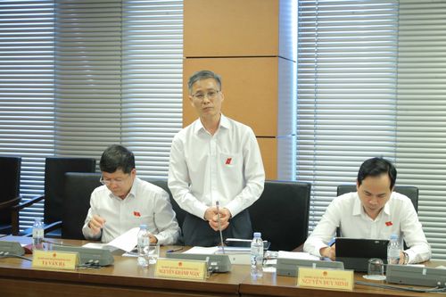 ĐBQH Nguyễn Khánh Ngọc (TP. Đà Nẵng) phát biểu. Ảnh: Hồ Long