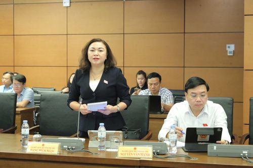 ĐBQH Đặng Bích Ngọc (Phú Thọ) phát biểu. Ảnh: Hồ Long