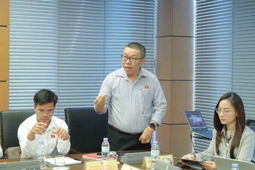 ĐBQH Trần Mạnh Huy (TP. Đà Nẵng) phát biểu. Ảnh: Hồ Long