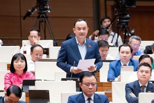 ĐBQH phát biểu tại phiên họp