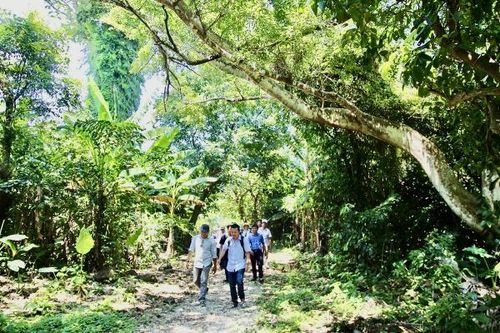 Đi bộ giữa rừng nguyên sinh Cồn Cỏ.