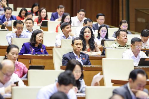 Các đại biểu dự phiên thảo luận tại hội trường sáng 21/4.