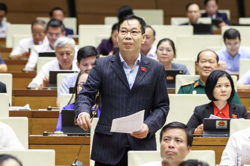 Đại biểu Đỗ Đức Hồng Hà, đoàn Hà Nội phát biểu.