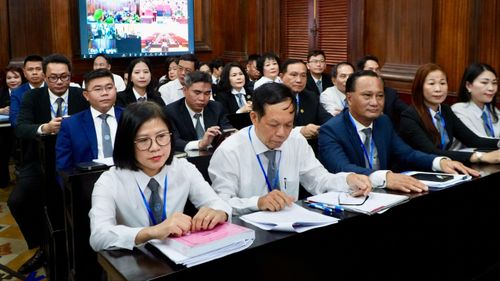  Hoạt động của luật sư tại một phiên tòa. ẢNH: T.C 