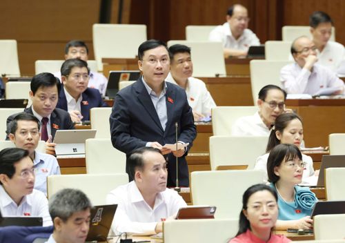 ĐB Lê Hoàng Anh (Gia Lai) phát biểu tại hội trường, sáng 21-4. Ảnh: QUANG PHÚC