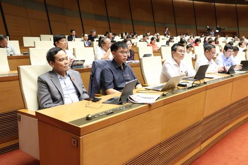 Bí thư Thành ủy TPHCM Trần Lưu Quang và các đại biểu Quốc hội dự phiên họp tại hội trường Diên Hồng, sáng 21-4. Ảnh: QUANG PHÚC