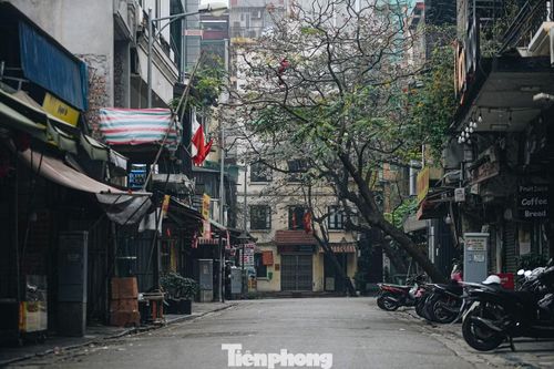 Phố cổ Hà Nội hiện lên với những con ngõ nhỏ đan xen, mặt phố hẹp, nhà ống san sát và biển hiệu nối dài. Ban ngày, không gian mang dáng vẻ trầm mặc với các cửa hàng truyền thống, đình, đền xen kẽ trong khu dân cư. Ảnh: Duy Phạm.