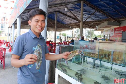 Những ngày này, các nhà hàng tại khu du lịch Thiên Cầm đã chủ động chuẩn bị nguồn hải sản dồi dào, tươi ngon để phục vụ du khách gần xa. Các nhà hàng nơi đây còn tăng cường nhân lực, nâng cấp không gian phục vụ và đảm bảo các điều kiện vệ sinh an toàn thực phẩm.