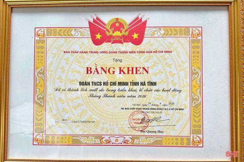Tỉnh đoàn Hà Tĩnh vinh dự được Ban Chấp hành Trung ương Đoàn tặng bằng khen vì đã có thành tích xuất sắc trong triển khai, tổ chức các hoạt động Tháng Thanh niên năm 2026.