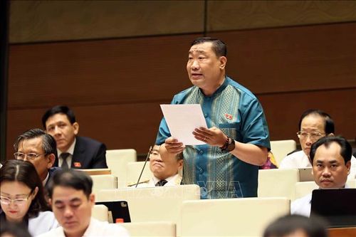 Đại biểu Quốc hội tỉnh Vĩnh Long Thạch Phước Binh phát biểu. Ảnh: An Đăng/TTXVN
