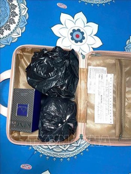 Tang vật tại hiện trường được lực lượng chức năng thu giữ. Ảnh: TTXVN phát