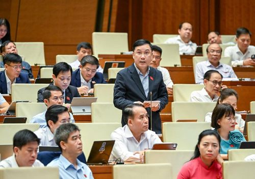 Đại biểu Lê Hoàng Anh (Đoàn Gia Lai). Ảnh: Uyên Hương/Bnews/vnanet.vn
