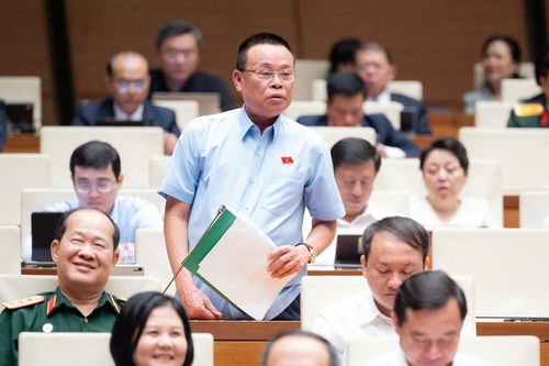 Đại biểu Nguyễn Như So - đoàn Bắc Ninh.