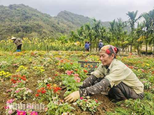 Công nhân Khu du lịch sinh thái Thung Nham chỉnh trang cảnh quan sẵn sàng đón khách.