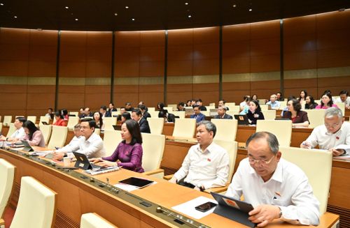 Các đại biểu tham dự phiên họp. Ảnh: Quang Khánh
