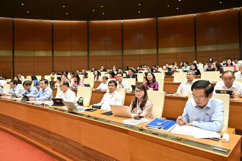 Các đại biểu tham dự phiên họp. Ảnh: Quang Khánh
