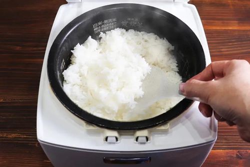 Theo các chuyên gia, khoảng nhiệt từ 7°C đến 60°C được xem là vùng lý tưởng để vi khuẩn sinh sôi. Trong khi đó, nhiệt độ phòng thường nằm ngay trong khoảng này. Điều đó có nghĩa là: Cơm để ngoài càng lâu, nguy cơ càng cao Tủ lạnh (~4°C) chỉ giúp làm chậm vi khuẩn, không tiêu diệt. Vì vậy, vấn đề không nằm ở việc “có cất tủ lạnh hay không”, mà là cất khi nào và trong bao lâu.