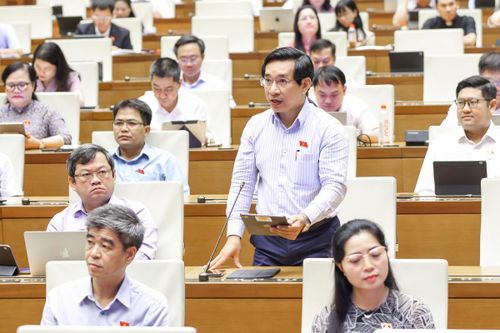 Đại biểu Nguyễn Văn Cảnh, đoàn Gia Lai phát biểu