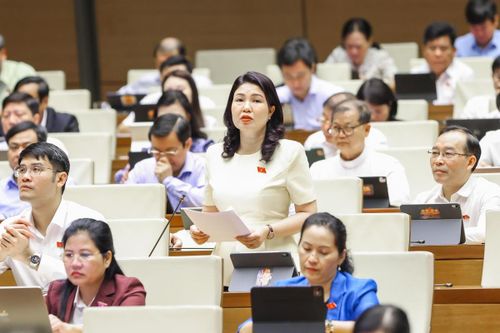 Đại biểu Trần Thị Vân, đoàn Bắc Ninh phát biểu