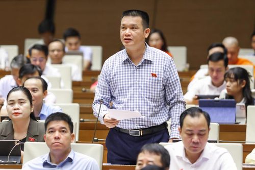 Đại biểu Hoàng Ngọc Định, đoàn Tuyên Quang phát biểu