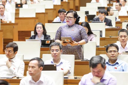 Đại biểu Nguyễn Thị Sửu, đoàn TP Huế phát biểu