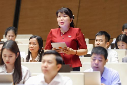 Đại biểu Nguyễn Thị Thu Hà, đoàn Quảng Ninh phát biểu