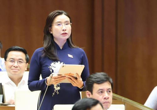  ĐB Nguyễn Phạm Duy Trang (TPHCM). Ảnh: QUANG PHÚC 