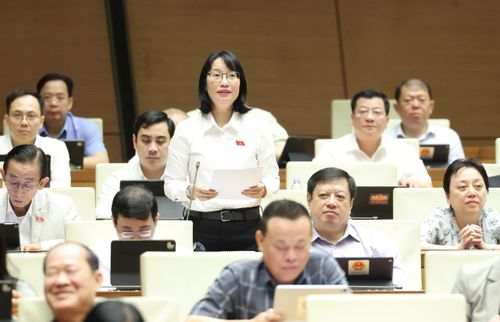  ĐB Trần Thị Diệu Thúy (TPHCM). Ảnh: QUANG PHÚC 