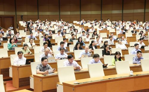  Các ĐB Quốc hội tại hội trường sáng 22-4. Ảnh: QUANG PHÚC 