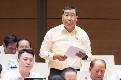Đại biểu Thạch Phước Bình (Đoàn Vĩnh Long)