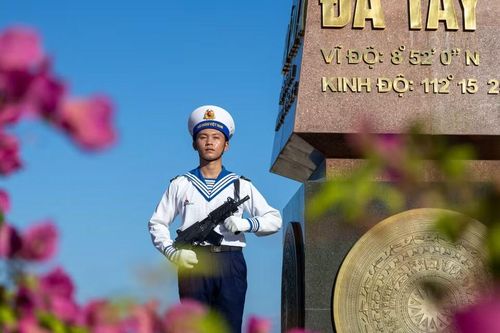 Ở Trường Sa, cây cũng học cách đứng vững như người lính. (Ảnh: Xuân Quý/TTXVN)