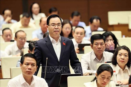 Đại biểu Quốc hội tỉnh Ninh Bình Trần Văn Khải phát biểu. Ảnh: An Đăng/TTXVN