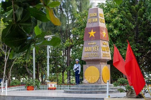 Những hàng cây hiên ngang trong gió như chính người lính đảo.