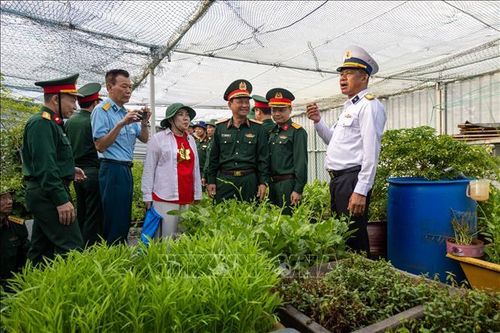 Vườn rau xanh của các chiến sĩ trên nhà giàn DK I tạo ấn tượng với các đại biểu.