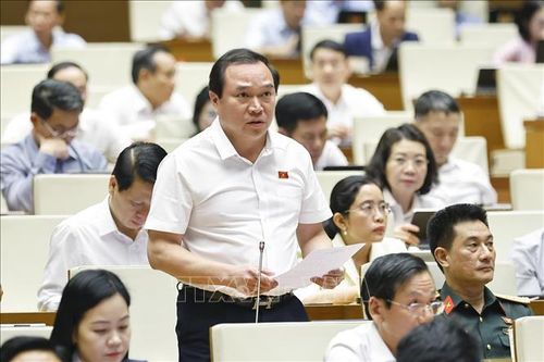 Đại biểu Quốc hội tỉnh Thái Nguyên Nguyễn Công Hoàng phát biểu. Ảnh: Doãn Tấn/TTXVN