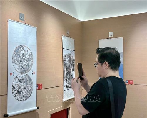 Đại biểu tham quan triển lãm. Ảnh: Phương Lan/TTXVN